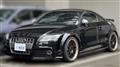 2009 Audi TTS