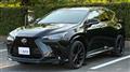 2025 Lexus NX