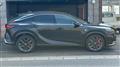 2026 Lexus RX