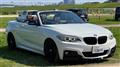 2015 BMW 2 Series