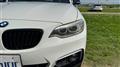 2015 BMW 2 Series