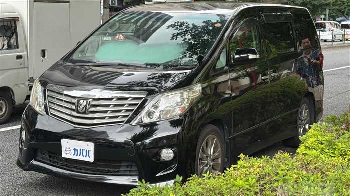 2010 Toyota Alphard
