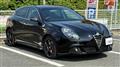 2014 Alfa Romeo Alfa Romeo Others