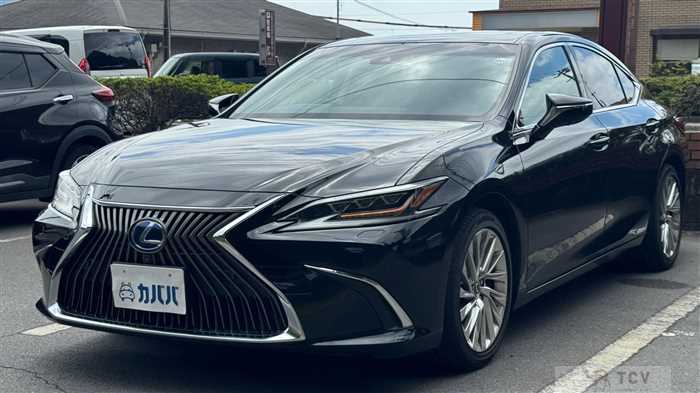 2020 Lexus ES