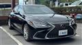 2020 Lexus ES