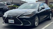 2020 Lexus ES