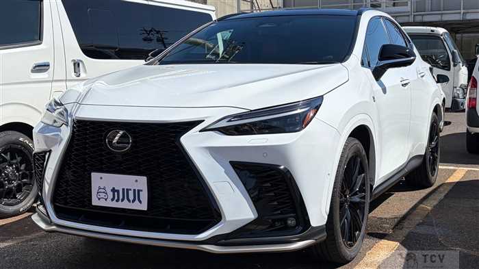 2024 Lexus NX