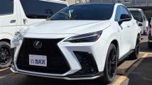 2024 Lexus NX
