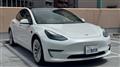 2021 Tesla Motors Others
