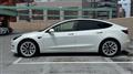2021 Tesla Motors Others