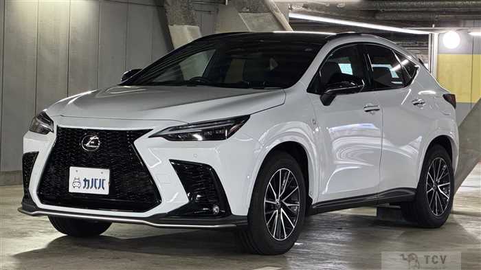 2025 Lexus NX