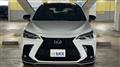 2025 Lexus NX