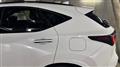 2025 Lexus NX