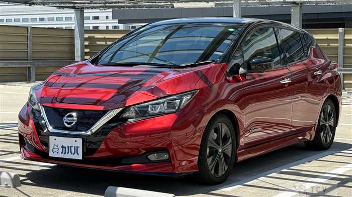 2019 Nissan Leaf