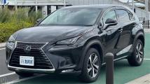 2018 Lexus NX
