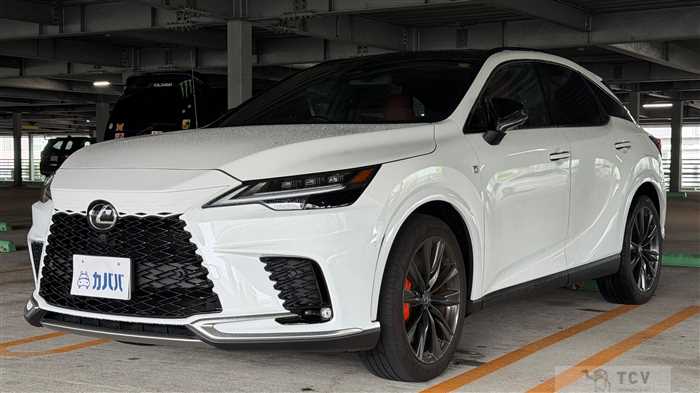 2025 Lexus RX