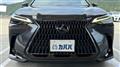 2022 Lexus NX