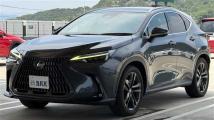 2022 Lexus NX