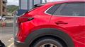 2021 Mazda Eunos Others