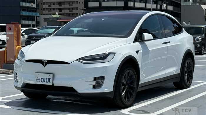 2020 Tesla Motors Others