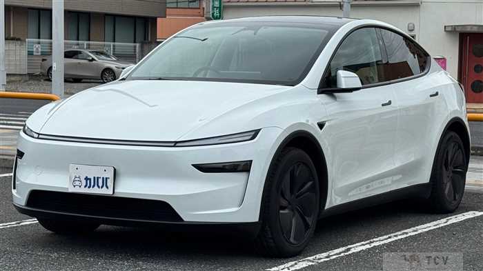 2025 Tesla Motors Others