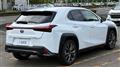 2023 Lexus UX