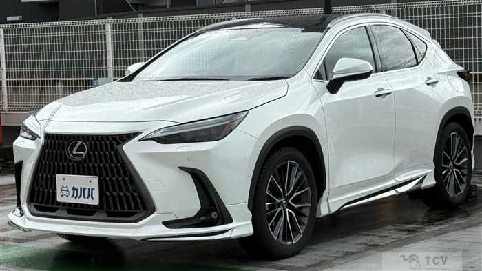 2023 Lexus NX