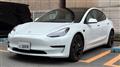 2021 Tesla Motors Others