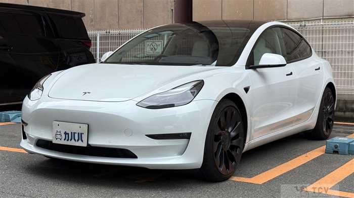 2021 Tesla Motors Others