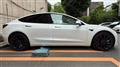 2021 Tesla Motors Others