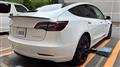 2021 Tesla Motors Others