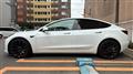 2021 Tesla Motors Others