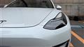 2021 Tesla Motors Others