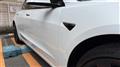 2021 Tesla Motors Others