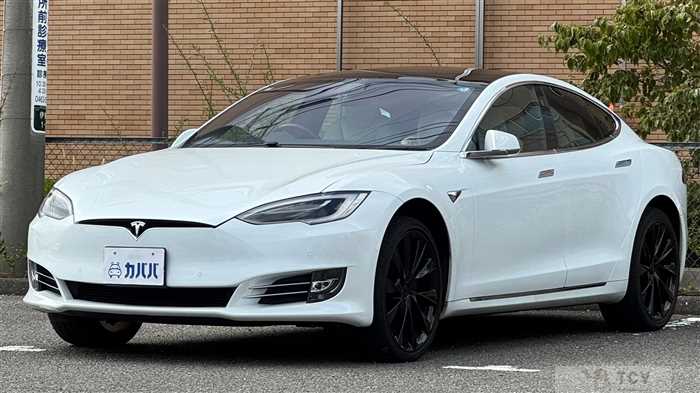 2020 Tesla Motors Others