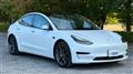 2020 Tesla Motors Others