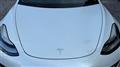 2020 Tesla Motors Others