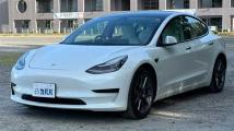 2020 Tesla Motors Others
