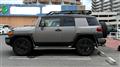 2010 Toyota FJ Cruiser