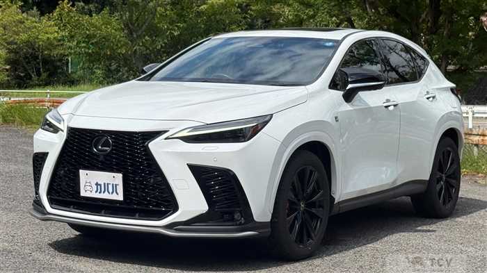 2024 Lexus NX