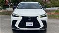 2024 Lexus NX