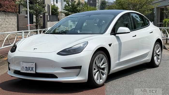 2021 Tesla Motors Others