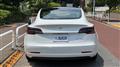 2021 Tesla Motors Others