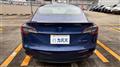 2021 Tesla Motors Others