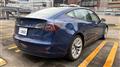 2021 Tesla Motors Others