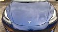 2021 Tesla Motors Others