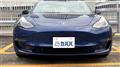 2021 Tesla Motors Others