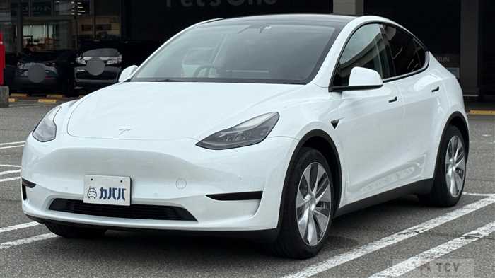2022 Tesla Motors Others