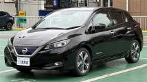 2019 Nissan Leaf