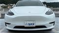 2022 Tesla Motors Others